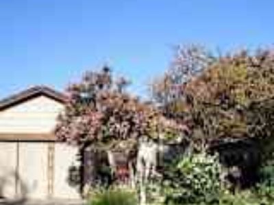 3 Bedroom 2BA House For Rent in Modesto, CA 541 San Vincente Ct