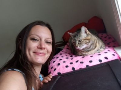 Looking for a room to rent