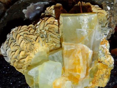 Lustrous Museum Specimen of 6830 cts. {3 lbs.} Huge Terminated Aquamarine Cluster