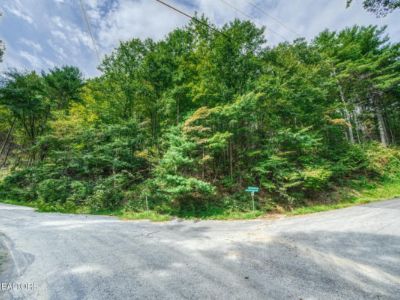 Land For Sale in Sevierville, TN