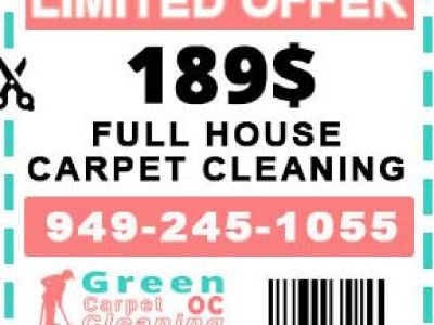 Expert carpet cleaners