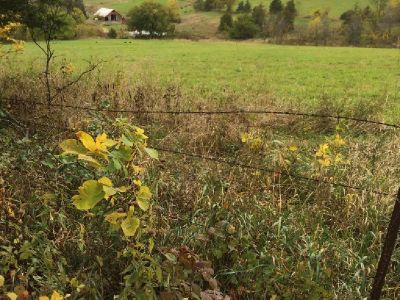 9.6 Acres Overlooking Galena Territory