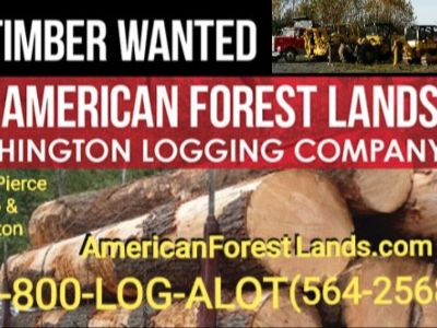 OLD SCHOOL LOGGERS! WA LOGGING COMPANY, TREES TIMBER LAND CLEARING, Auburn, Maple Valley, Enumclaw