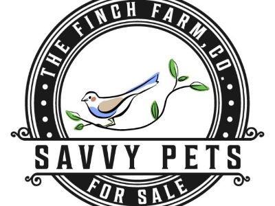 Savvy Pets - The Finch Farm, Co.