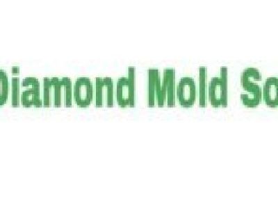 Diamond Mold Solutions LLC