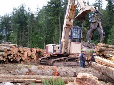 Logging Company Timber Buyers 800-LOG-ALOT Pierce County Washington