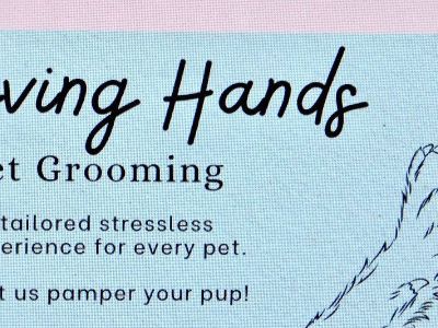 ^~^DOG GROOMING^~^ Booking Appointments!!!