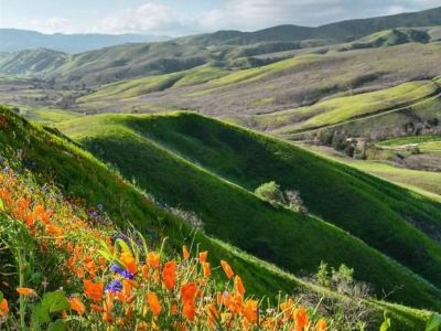 Im looking for a room to rent or a roomate in bear valley springs community