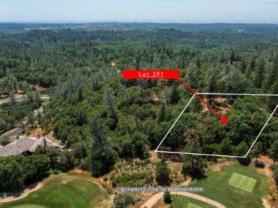 Single Family Home For Sale in MEADOW VISTA, CA
