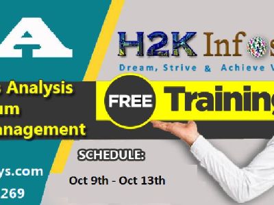 FREE Training on  Business Analysis & Project Management (Oct 9th -13th) by H2K Infosys.