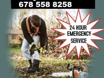 AFFORDABLE TREE SERVICE Tree Removal Service (Over 99 5 star google Atlanta & Surrounding Area