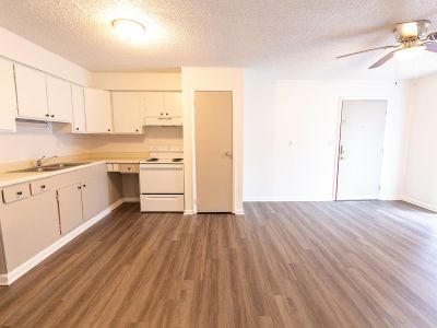 1 Bedroom 1BA 700 ft Pet-Friendly Apartment For Rent in Pacolet, SC