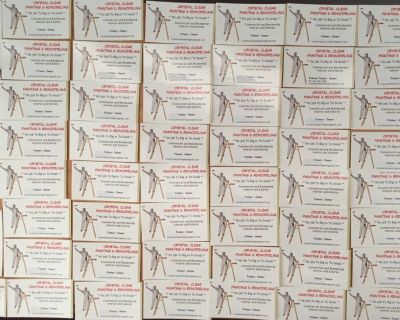 Professional Painter