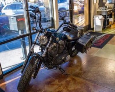 2015 Harley Davidson Forty Eight Sedan