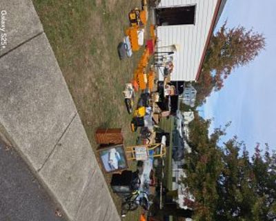 Big yard sale