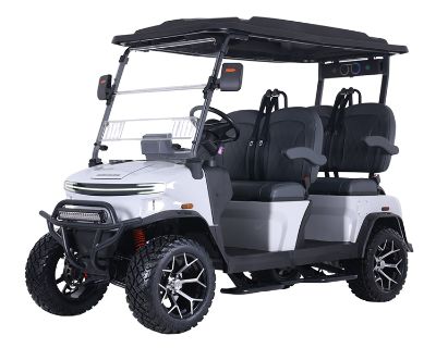 2025 Denago EV Rover XL Electric Golf Carts Richmond, VA