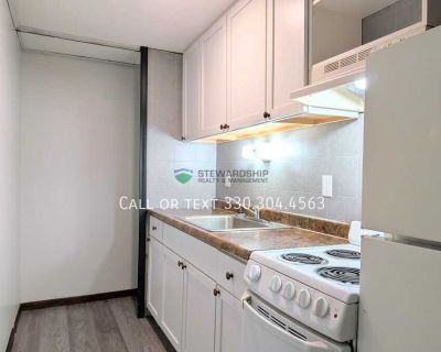 1 Bedroom 1BA 550 ft Pet-Friendly Apartment For Rent in Orrville, OH