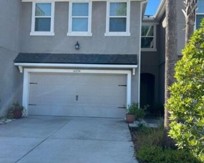 Damselfly Dr, Tampa, Home For Rent