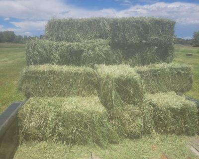 Grass hay