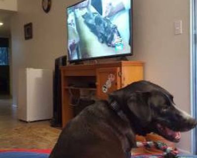 Room for Rent La Mesa near Trolley