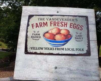 Farm fresh brown eggs