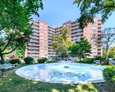 1 Bedroom 1BA 725 ft Apartment For Rent in Stamford, CT