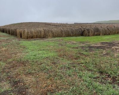 2025 hay. 1st and 2nd cutting alfalfa. Oats hay, horse hay, grass alfalfa mix. Fla