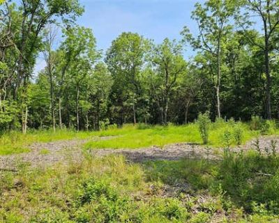 Land For Sale in MARTHASVILLE, MO