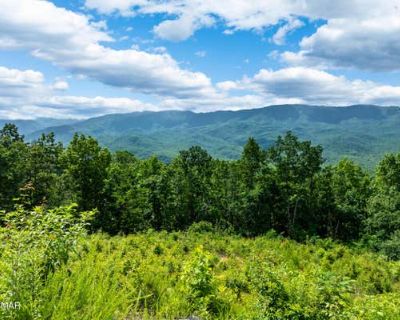 Unimproved Land For Sale in GATLINBURG, TN
