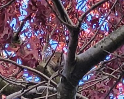 *Haul?Clutter and Mess? Will I clean cheap? YES!!*