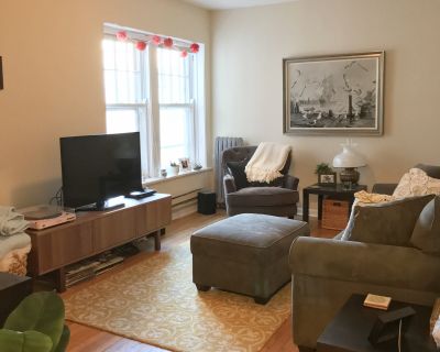 1 Bedroom 1BA Pet-Friendly Apartment For Rent in Forest Park, IL