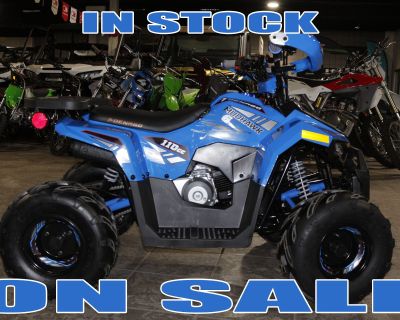 Condition: New, Make: Denago PowerSports, Model: MUDHAWK 6, Year: 2025, Color: BLUE, Dealer: Salinas Motorcycle Center Inc, Phone: 831-442-3511. The Denago Powersports Mudhawk 6 will lead the six and up Youth ATV Category with its class-leading 107 cc Engine size and its Fully Automatic Transmission with Forward, Neutral & Reverse. It also features Remote shut-off capabilities utilizing a Wirel...