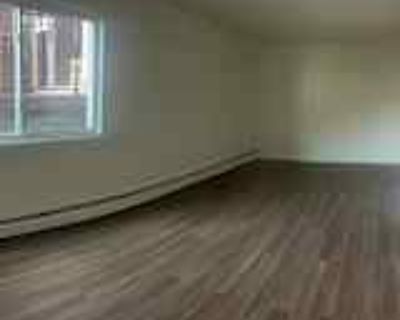 1 Bedroom 1BA Pet-Friendly Apartment For Rent in Cincinnati, OH 4848 Reading Rd unit 1