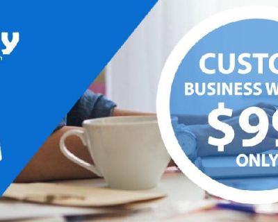 Top Quality Professional Website Design Service From $99 Only