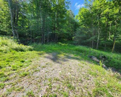 Unimproved Land For Sale in SAND LAKE, NY