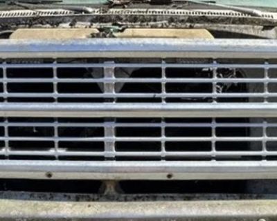 WTB or WTT for a 1979 single headlight grille, headlight buckets and headlight wires
