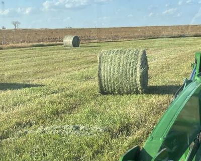 Hay For Sale