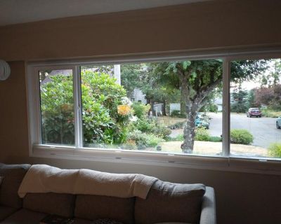 High Quality Window Cleaning & Powerwashing Services