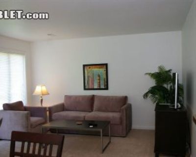1 Bedroom 1BA Apartment For Rent in Rochester, MI