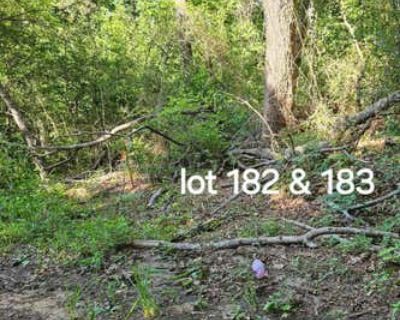 Land For Sale in JEFFERSON, TX