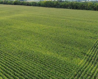 Farm For Sale in BLOOMFIELD, IA