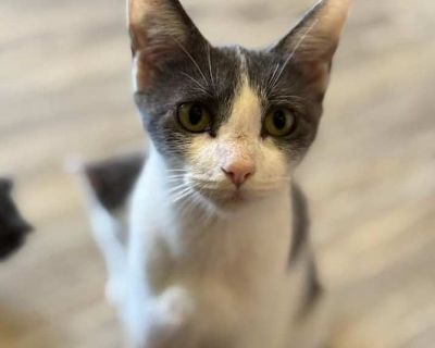 Young. White (mostly)