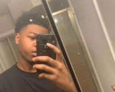 Male Seeking Room in Cape Coral, FL