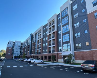 1 Bedroom 1BA 811 ft Pet-Friendly Apartment For Rent in Danbury, CT