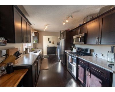 Cozy Renovated 4 Bedroom House