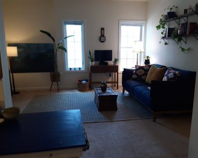 1 bedroom Apartment for rent