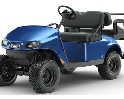 2022 E-Z-GO Valor 4 Gas Gas Powered Golf Carts Mentor, OH