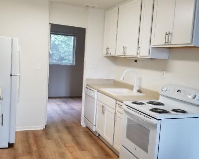 1 Bedroom 1BA 525 ft Pet-Friendly Apartment For Rent in Portland, OR