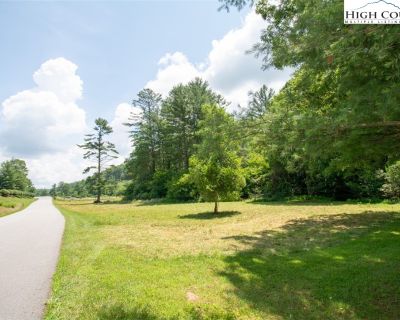 1 Bedroom Vacant Lot For Sale in Fleetwood, NC