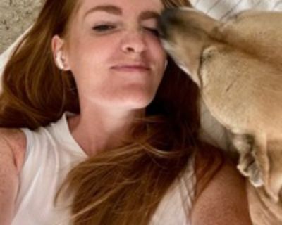 Linda E is looking for a New Roommate in Denver with a budget of $2000.00